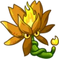 植物大战僵尸融合高数带我飞版