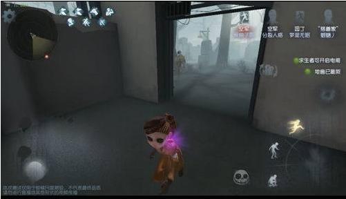 第五人格共研服