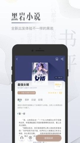 黑岩小说截图2