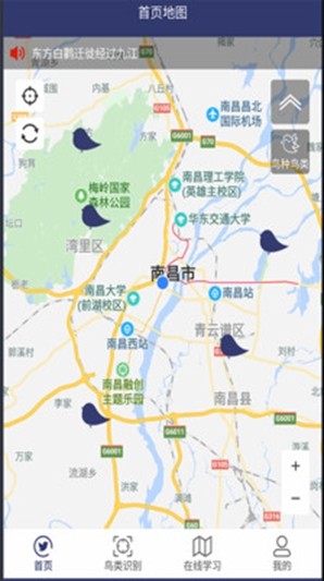 图音识鸟截图2