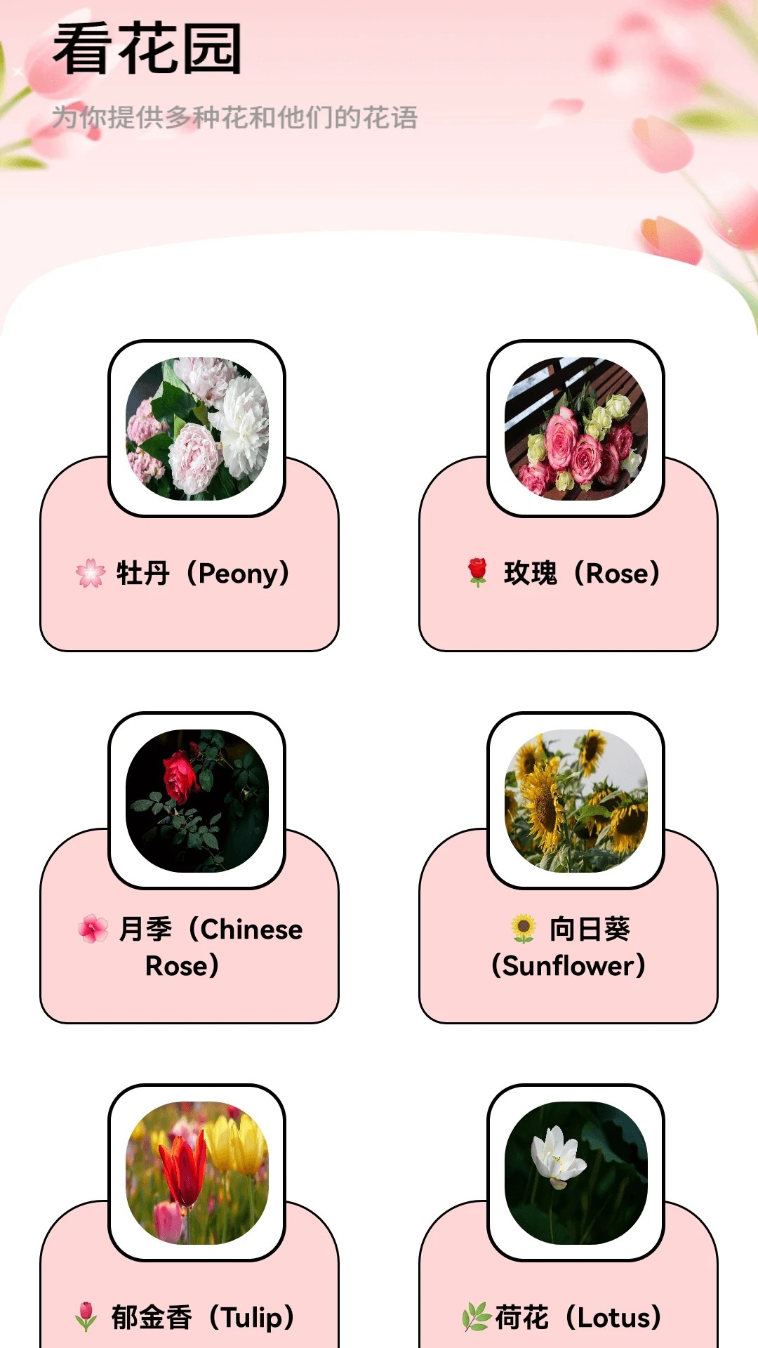月光短剧截图2