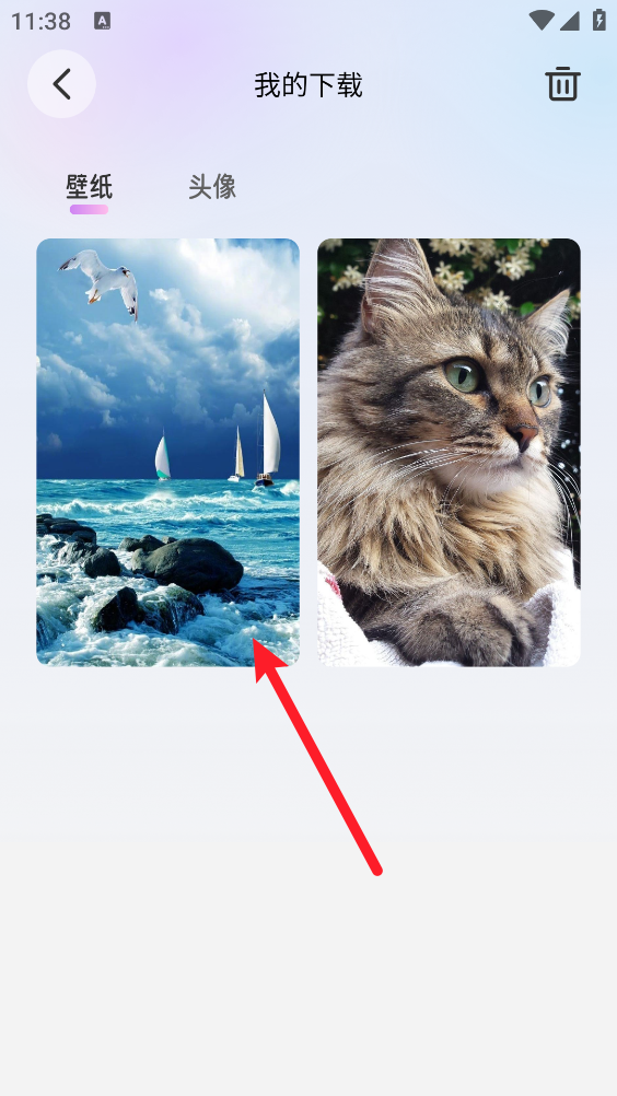 萌猫派对壁纸