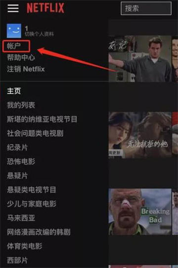 奈飞tv版