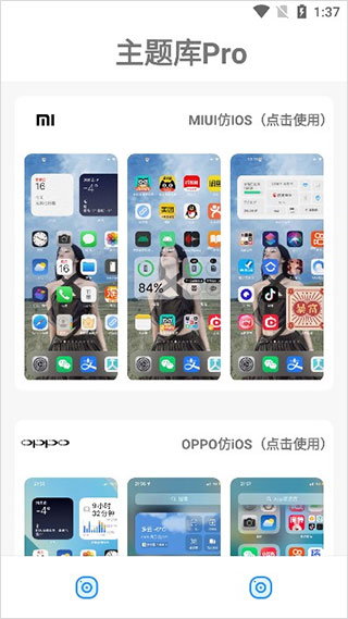 主题库绿色版