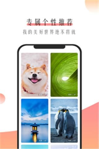 米柚壁纸最新版