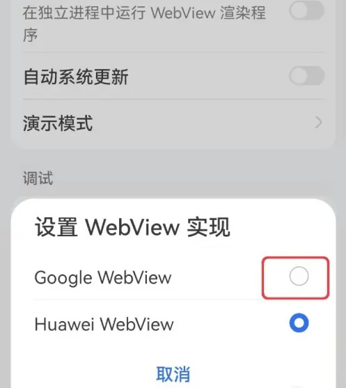 google WebView