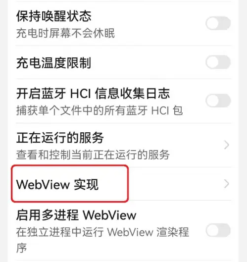 google WebView
