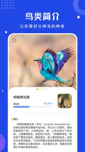 鸟语语言翻译器截图0