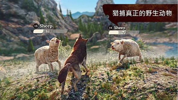 狼族正版