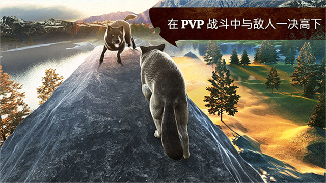 狼族正版截图1