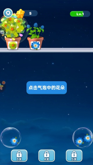 这花太棒了
