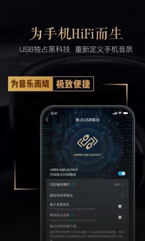 viper hifi免费版截图1