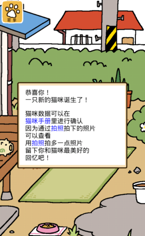 猫咪后院2国际服
