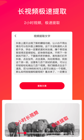 视频转文字截图1