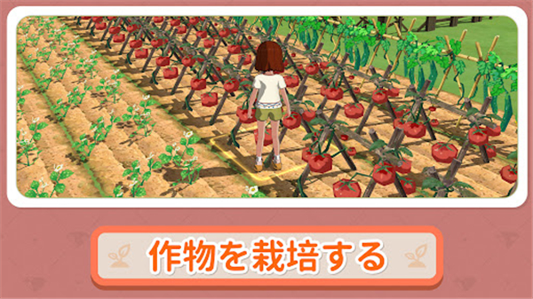 小森生活中文版