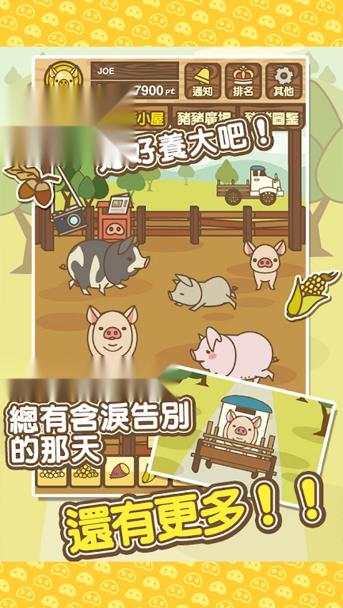 养猪场mix