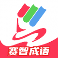 赛智成语