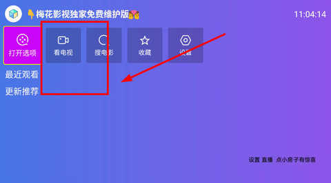 梅花影视截图1