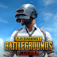 pubg体验服国际版