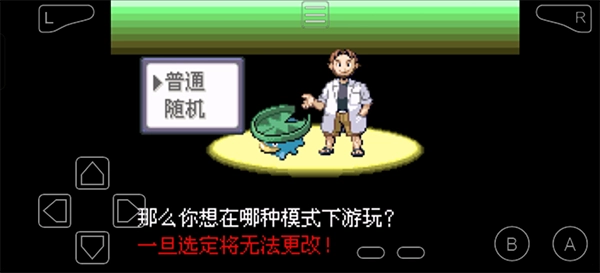 口袋妖怪究极绿宝石中文