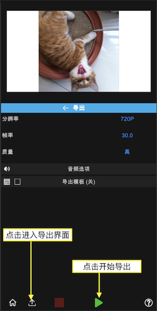 NodeVideo免费