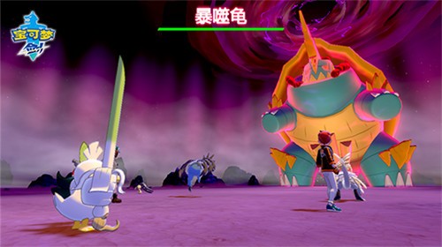 精灵宝可梦剑盾中文版截图2