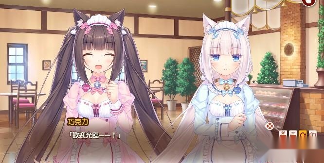 猫娘乐园4