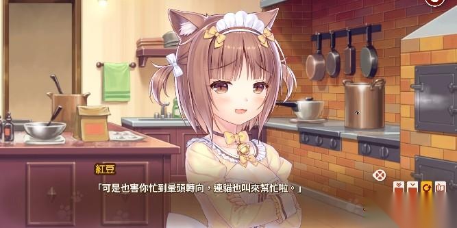 猫娘乐园4