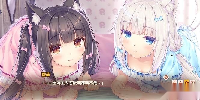 猫娘乐园4