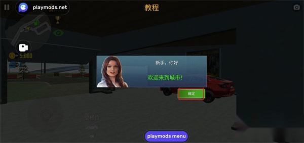 汽车模拟器2中文版