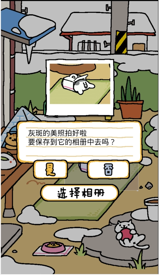 猫咪后院2截图1