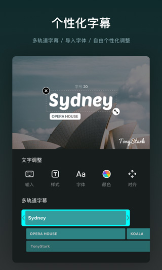 vn视频剪辑软件汉化版