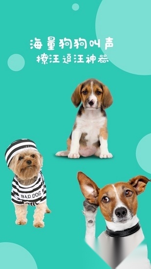 狗语翻译截图2
