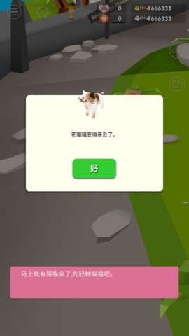 猫猫与鲨鱼