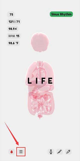 生命life