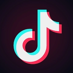 TikTokTV版