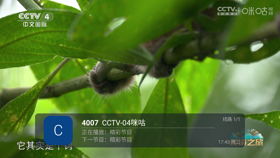 前线电视综合版截图1