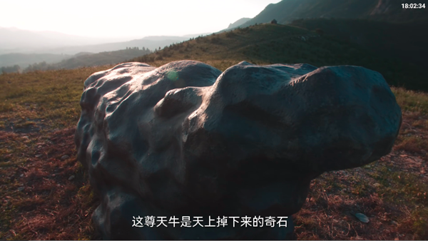 畅常看4K电视版截图2