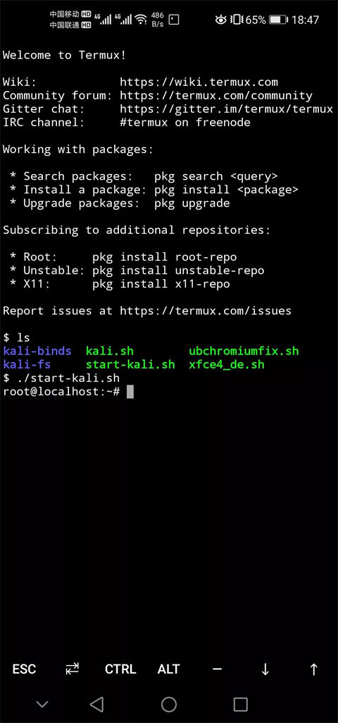 Linux模拟器