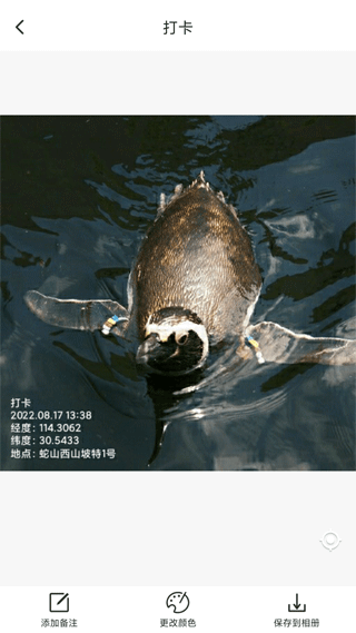 打卡定位截图2
