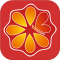 蝶油