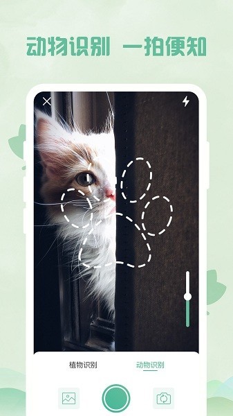 智能扫描王截图1