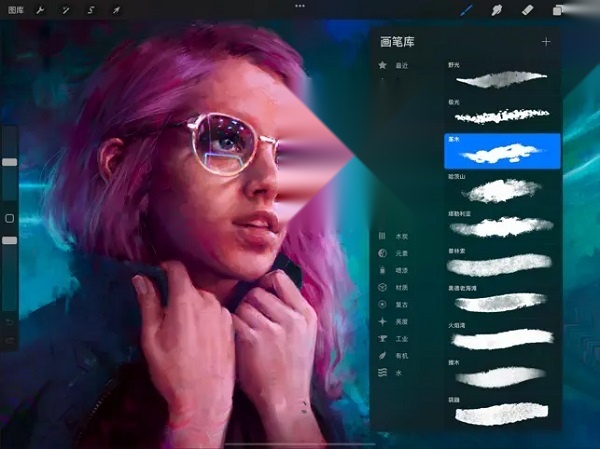 Procreate Pocket截图2