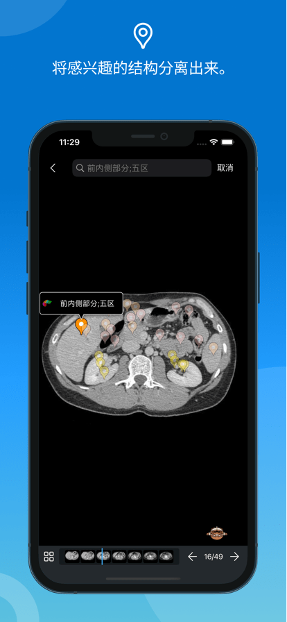 eAnatomy正版截图2