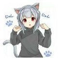 冷狐宝盒2025最新版