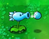 植物大战僵尸吃不了席版植物能力