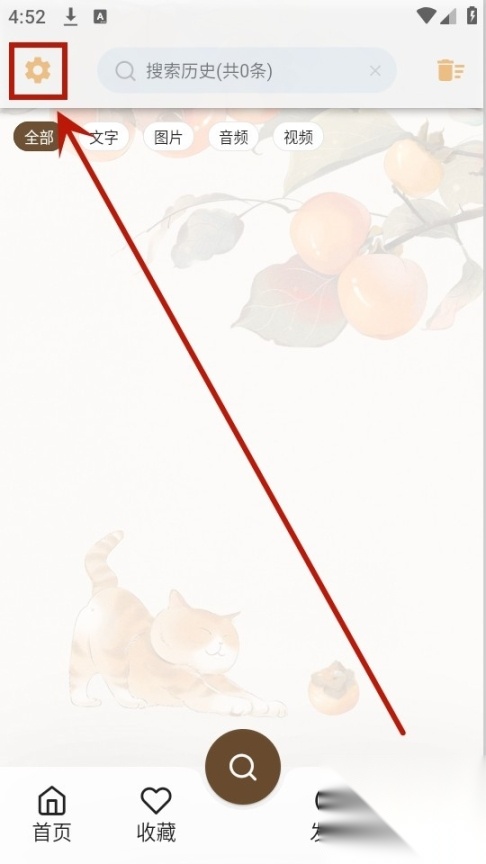 果皮