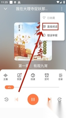 有声小说