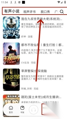 轻云听书