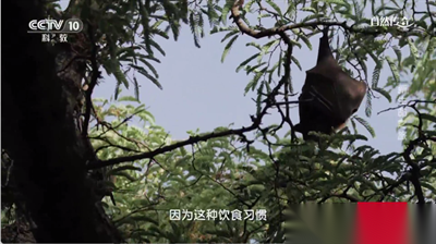 时光未央tv版截图3